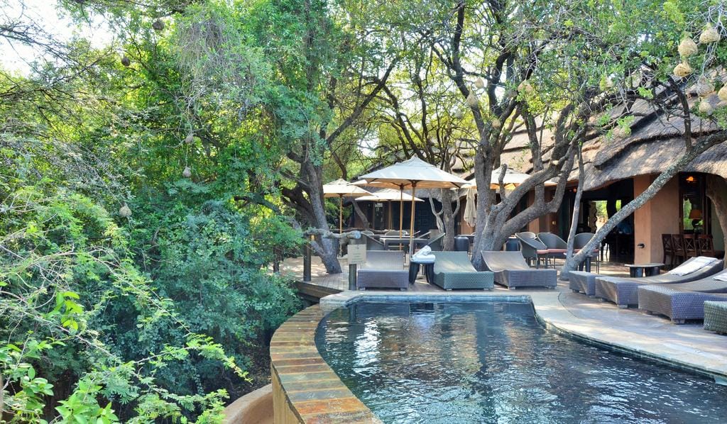 Motswiri Private Safari Lodge gallery image 1