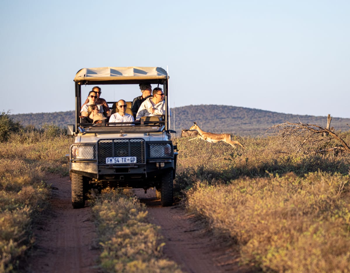 Madikwe Game Reserve gallery image 29