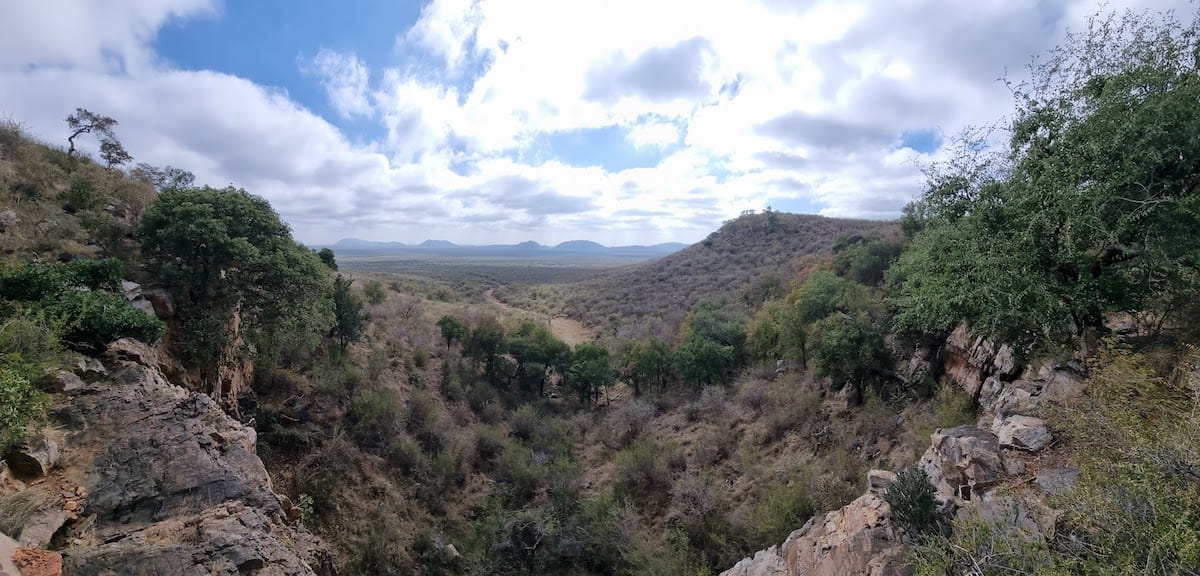 Madikwe Game Reserve gallery image 63
