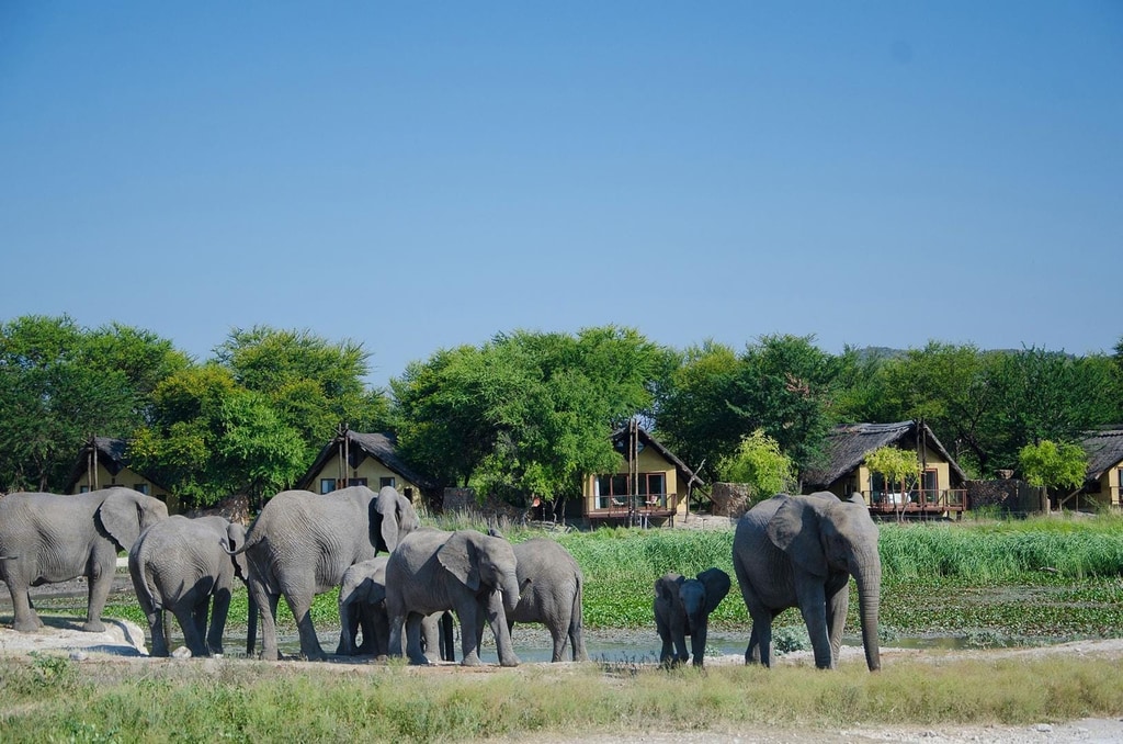 Tau Game Lodge gallery image 1