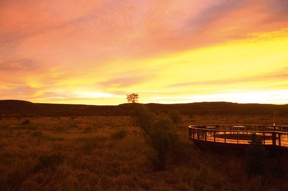 Mateya Safari Lodge gallery image 5