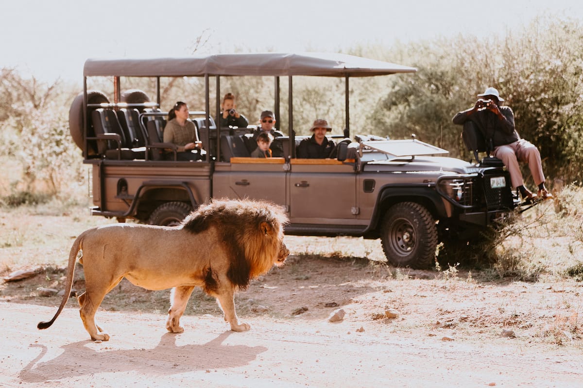 Madikwe Safari Lodge gallery image 6