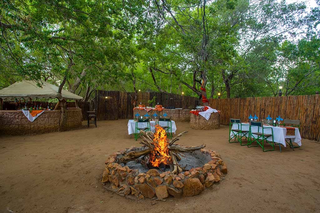 Madikwe River Lodge gallery image 5