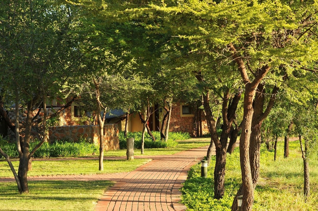 Tau Game Lodge gallery image 6