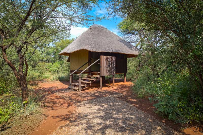 Mosetlha Bush Camp & Eco Lodge gallery image 5