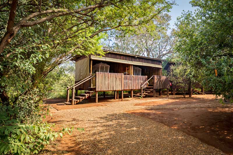 Mosetlha Bush Camp & Eco Lodge gallery image 4