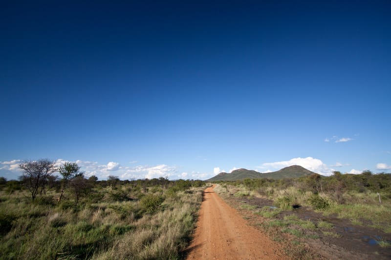 Madikwe Game Reserve gallery image 8