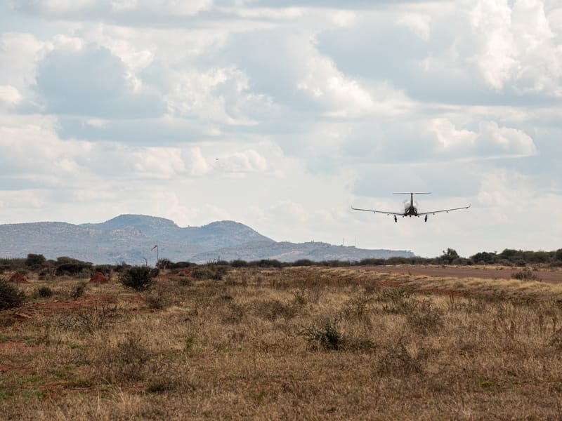 Madikwe Game Reserve gallery image 3