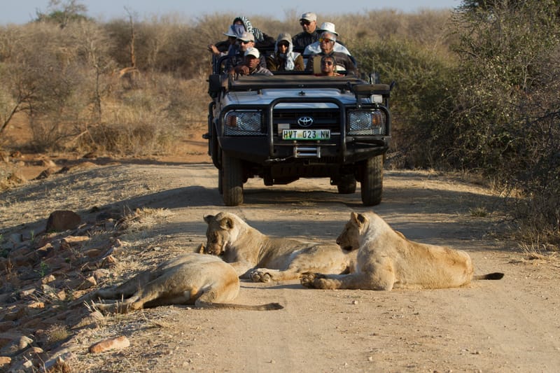 Madikwe Game Reserve gallery image 2