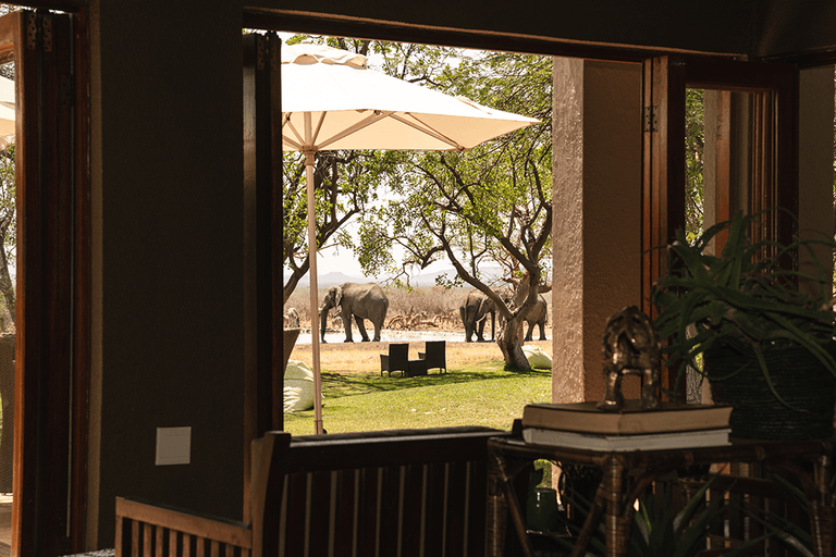 The Last Word Madikwe activities