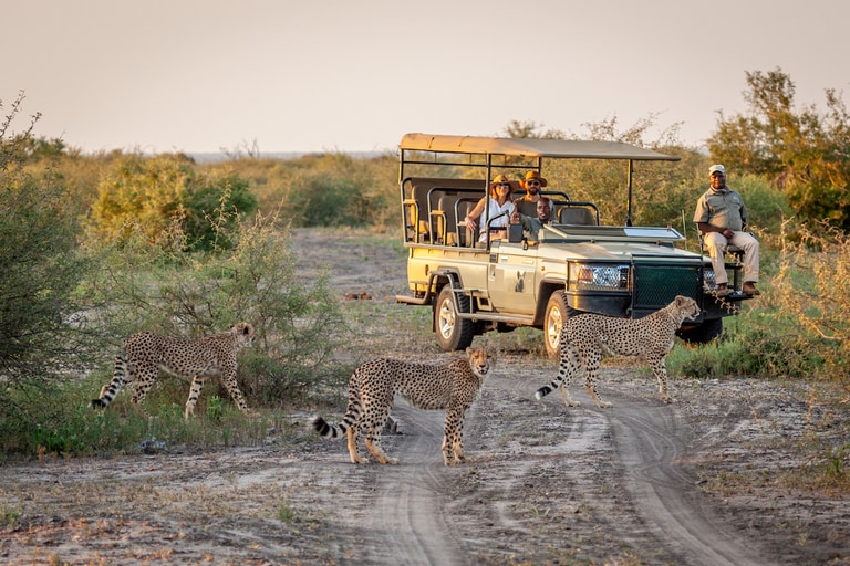 Madikwe Hills Private Game Lodge activities