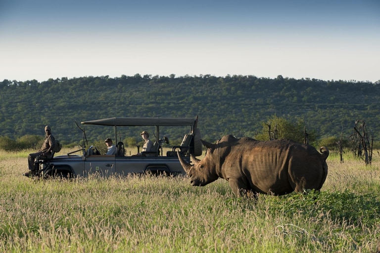 Morukuru Family Madikwe activities