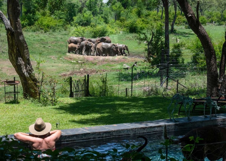 Jaci's Madikwe House activities