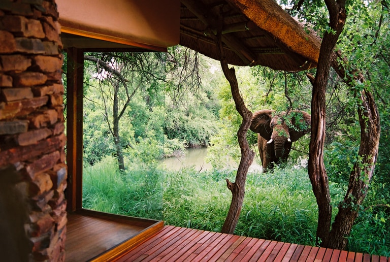 The Last Word Makanyane accommodation