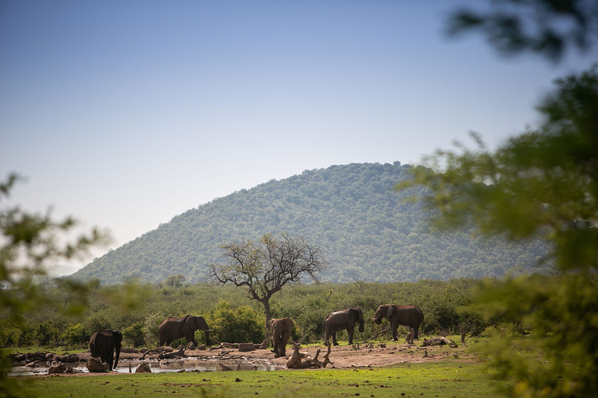 The Cultural History of Madikwe