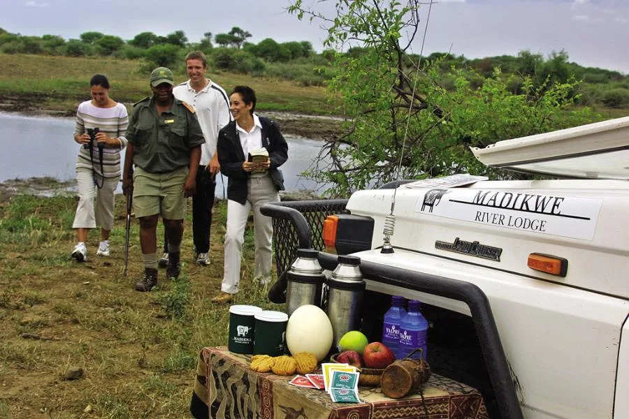 Madikwe-River-Lodge—Game-