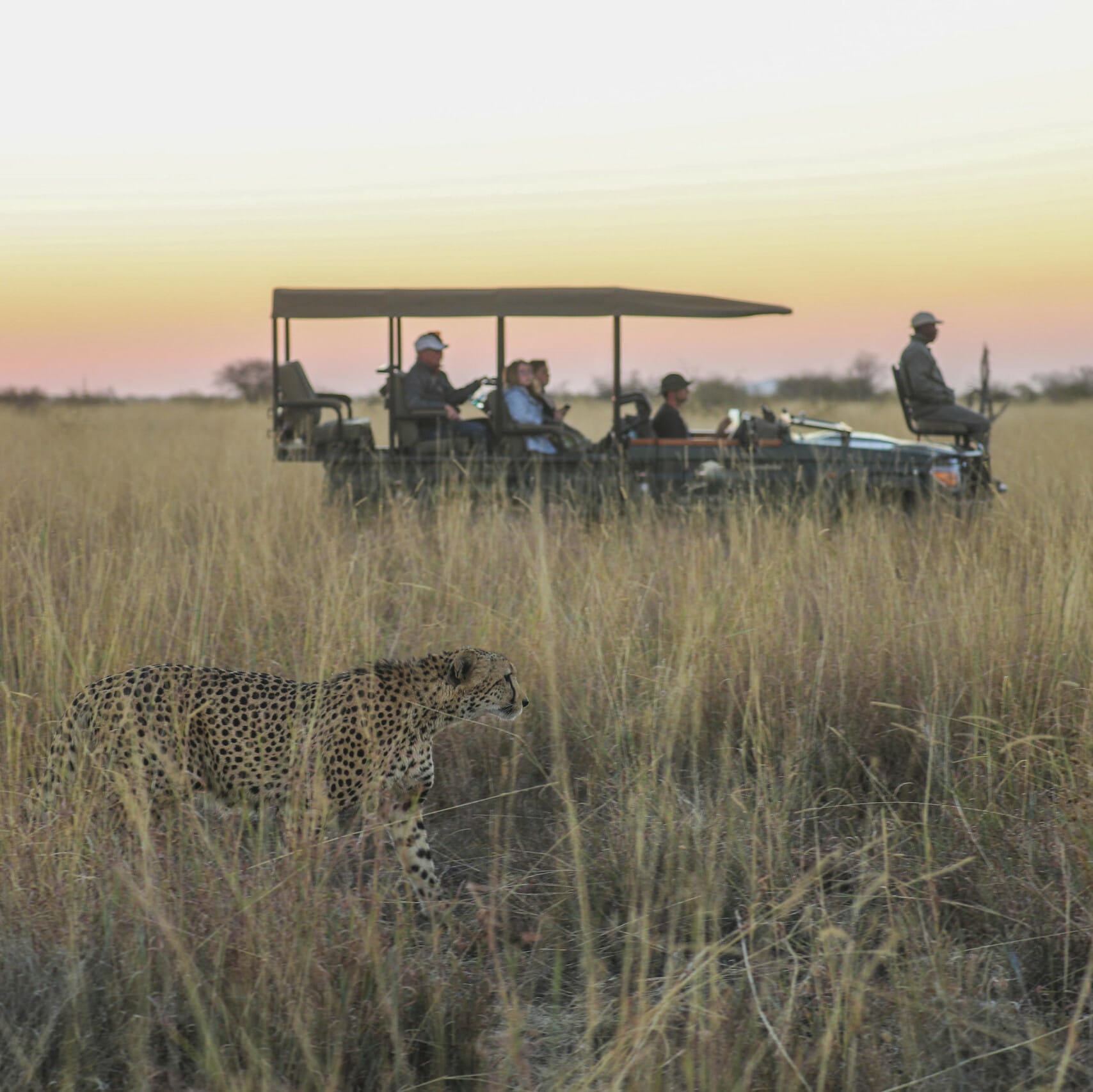 Game Drives at Etali