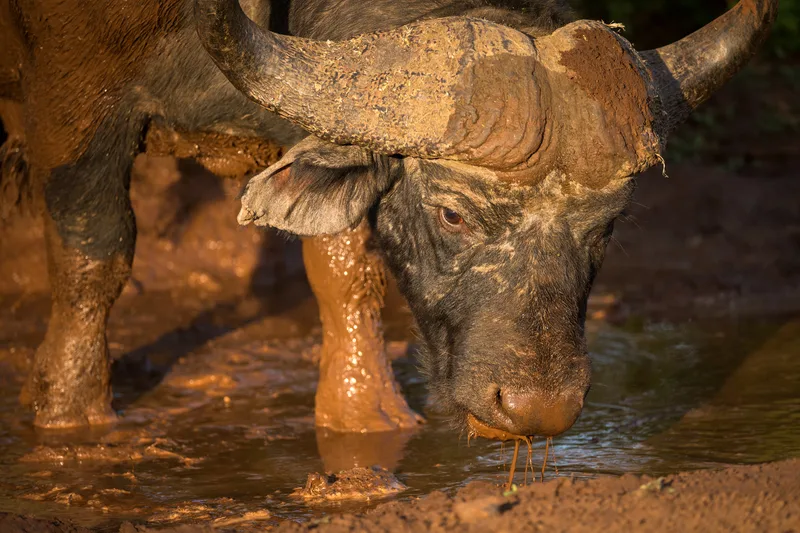 dreamstime_s_178654621