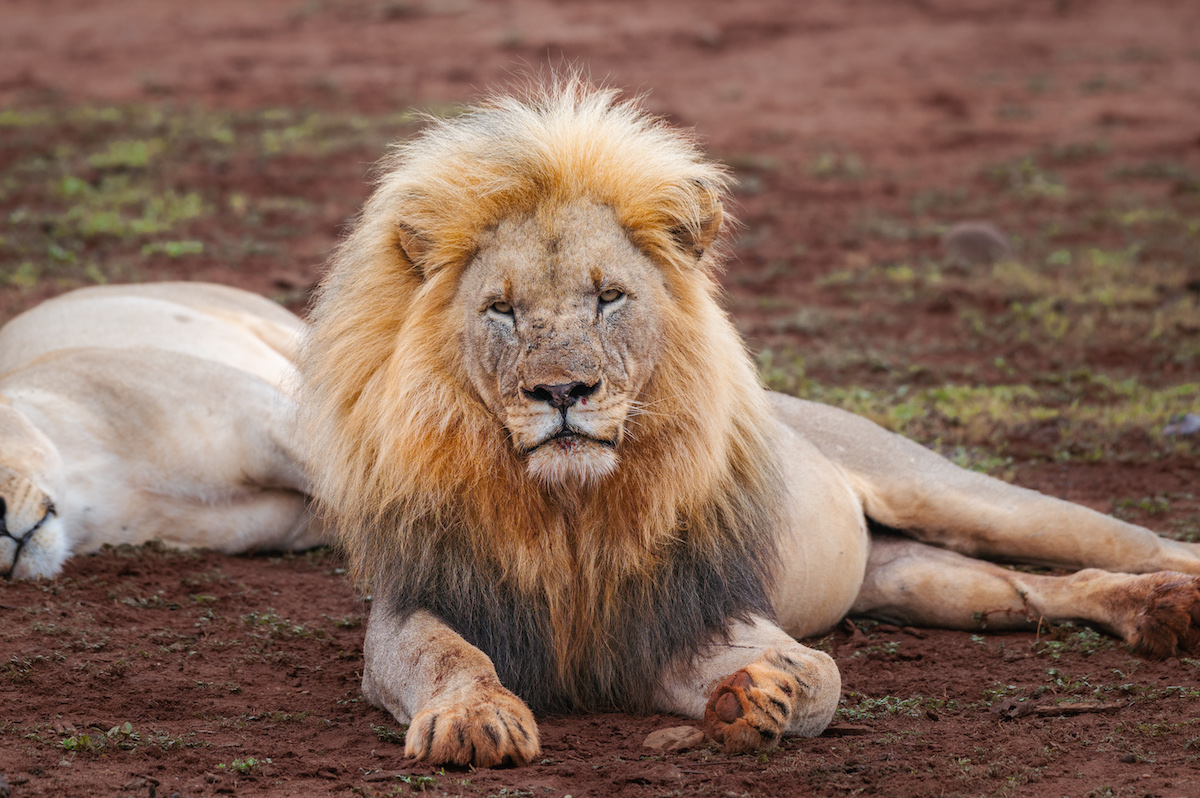 Jacis Experience _ 1