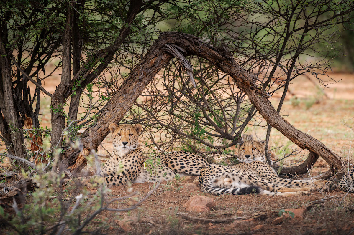 Jacis Experience _ 18