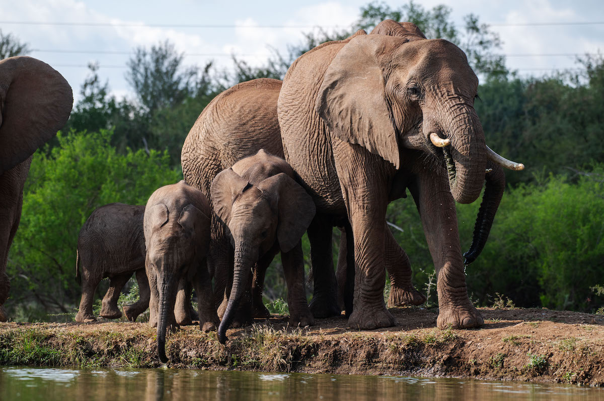 Jacis Experience _ 20