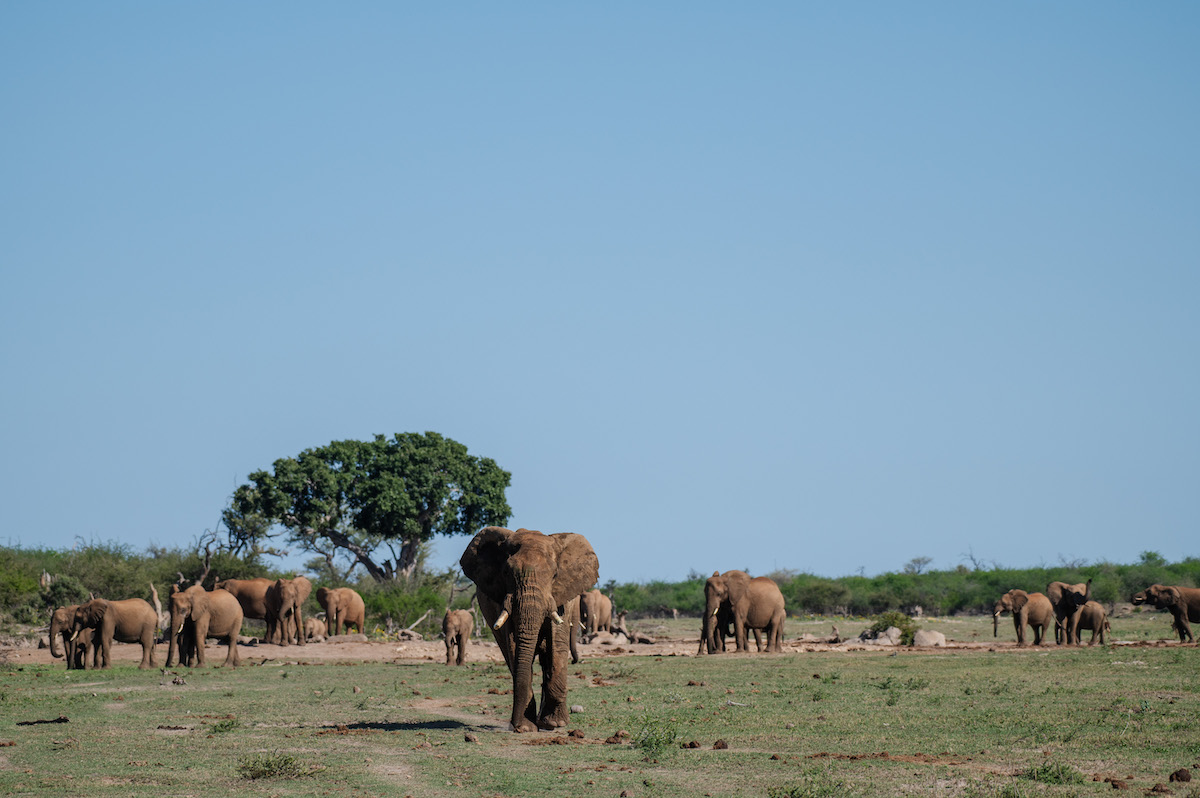 Jacis Experience _ 21