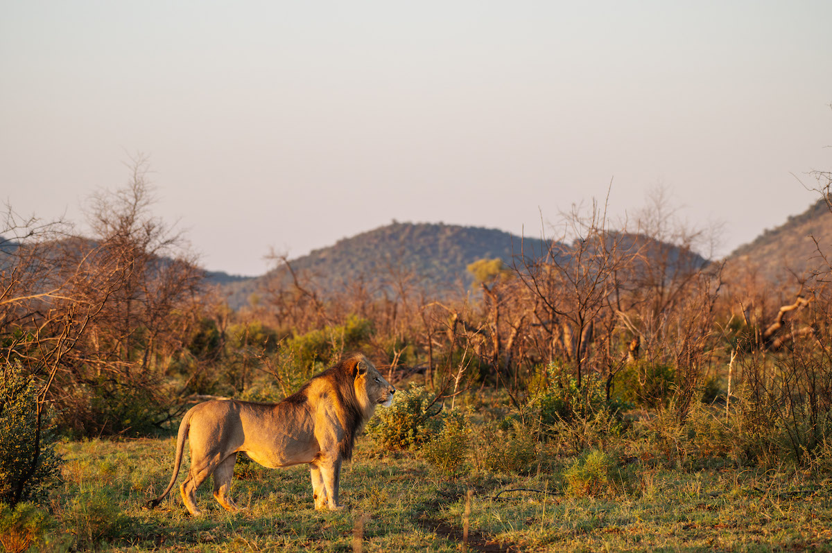 Jacis Experience _ 22