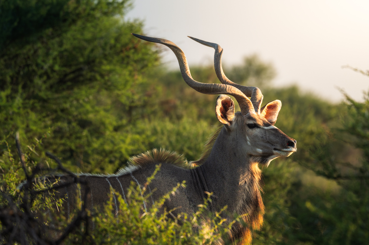 Jacis Experience _ 3