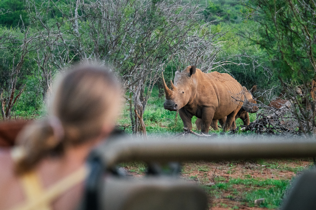 Jacis Experience _ 5