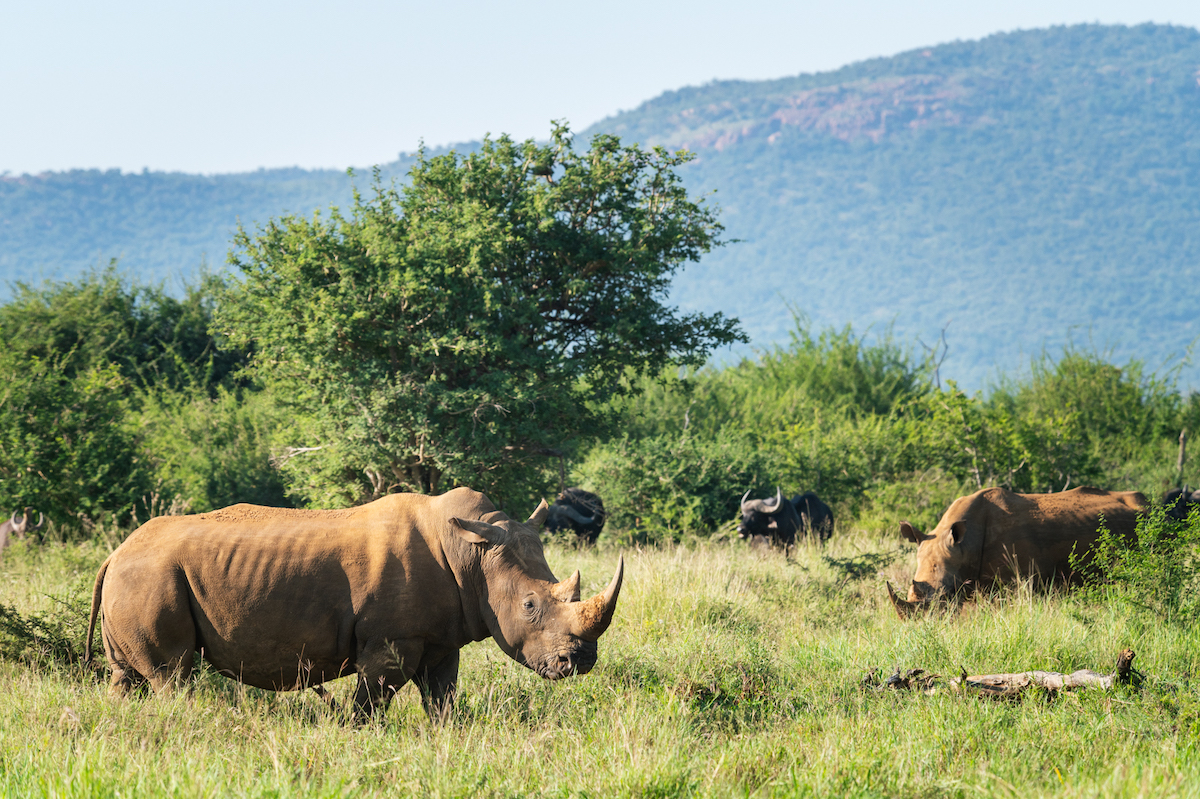 Jacis Experience _ 9